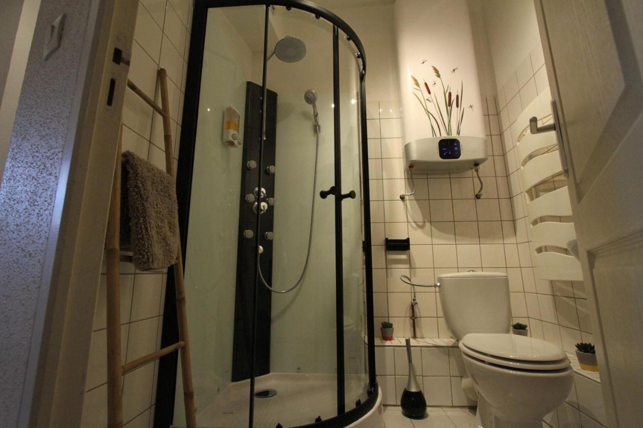 "Appartement Au Centre & Parking" Logement Petite Venise Colmar Bagian luar foto
