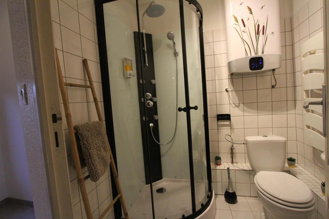 "Appartement Au Centre & Parking" Logement Petite Venise Colmar Bagian luar foto