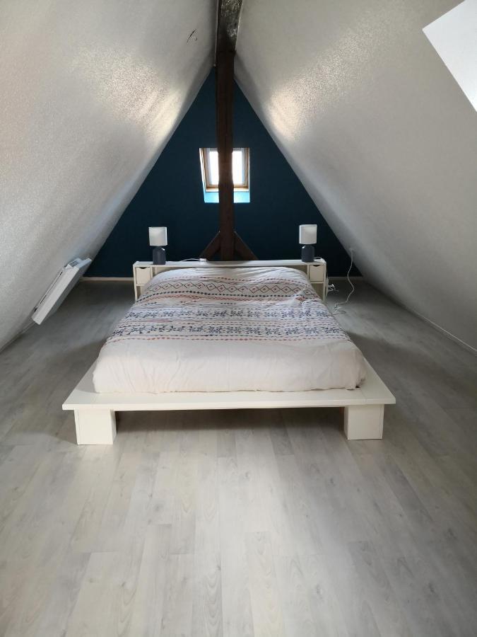 "Appartement Au Centre & Parking" Logement Petite Venise Colmar Bagian luar foto