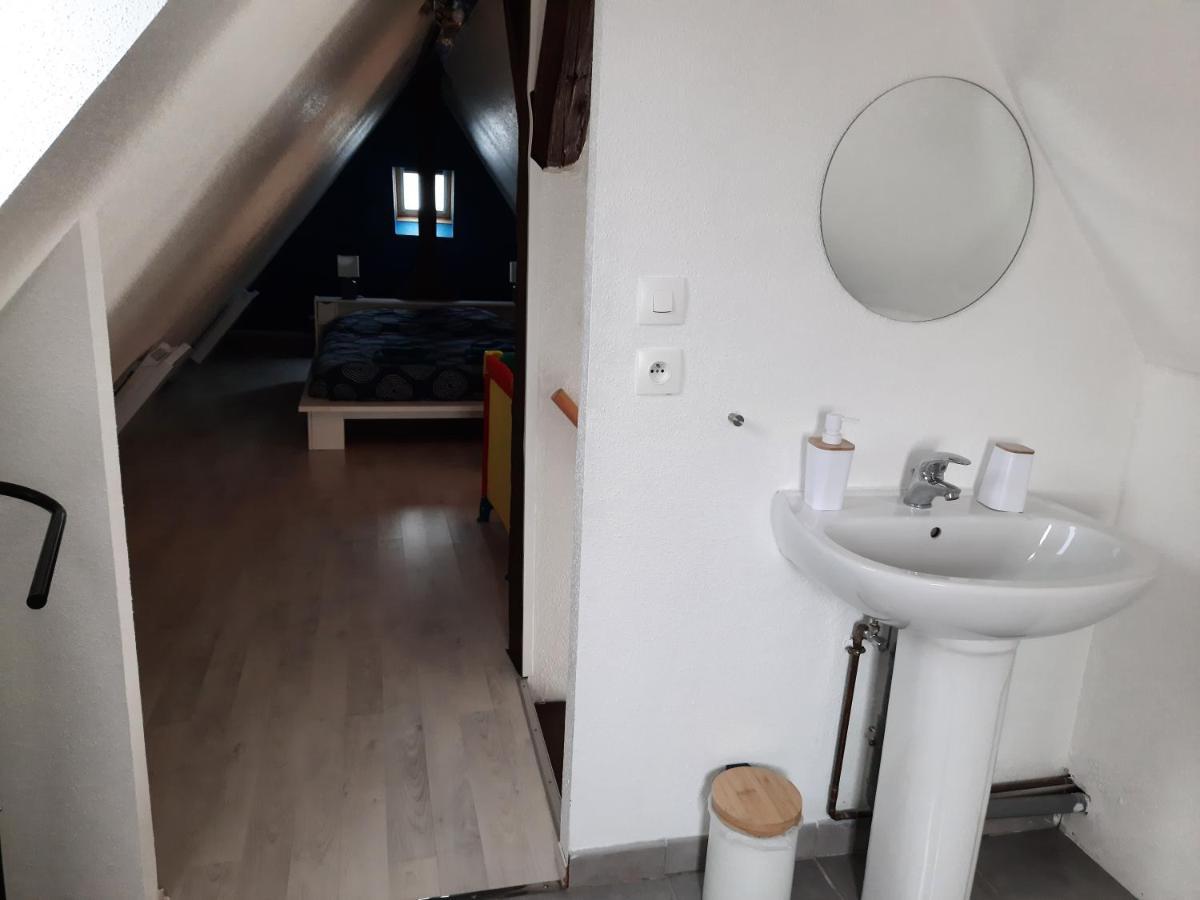 "Appartement Au Centre & Parking" Logement Petite Venise Colmar Bagian luar foto