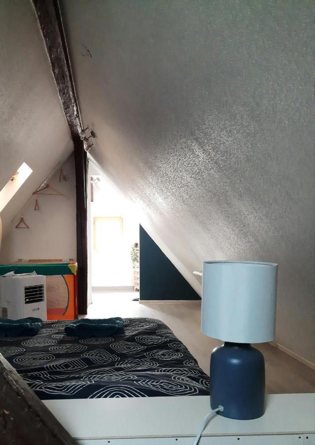"Appartement Au Centre & Parking" Logement Petite Venise Colmar Bagian luar foto